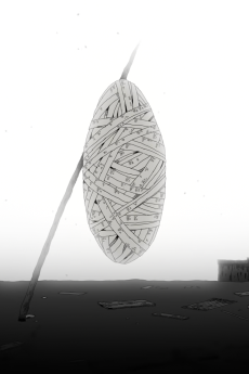 Cocoon – Cocoon