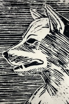 A DOG – A DOG